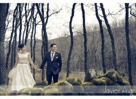 Javier Avis Fotógrafo